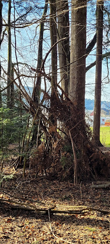 Vitaparcours St. Gallen - Höchsterwald - St. Gallen