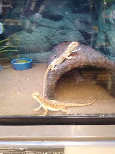 Pet Supply Store «Petco Animal Supplies», reviews and photos, 86 Storrs Rd, Mansfield Center, CT 06250, USA