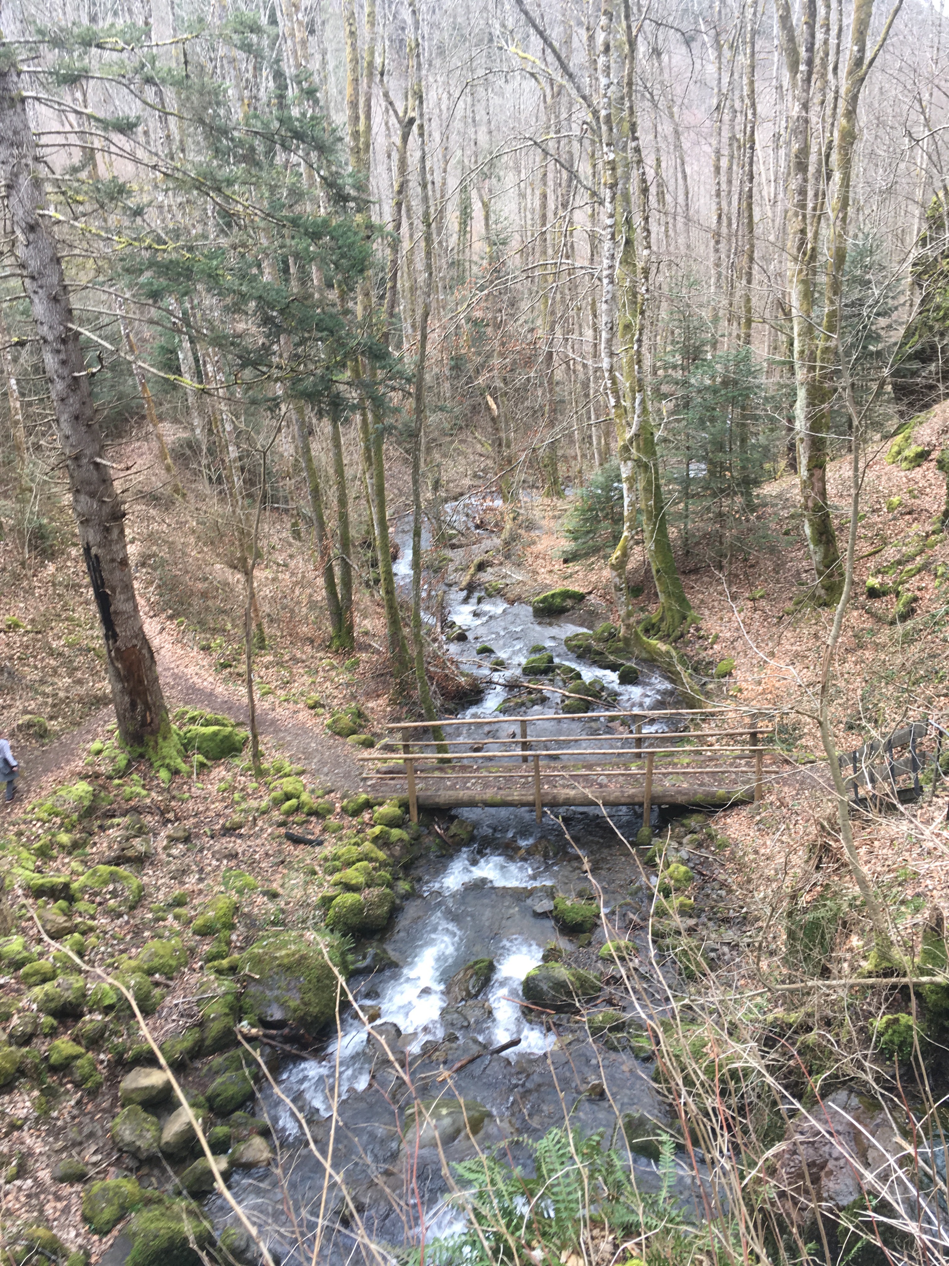 Photo n° 1 de l'avis de Damaris.u fait le 05/04/2018 à 19:32