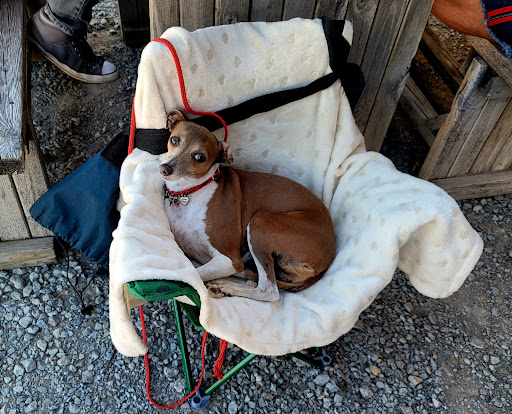 Cider Mill «Sutliff Cider Company», reviews and photos, 382 Sutliff Rd, Lisbon, IA 52253, USA