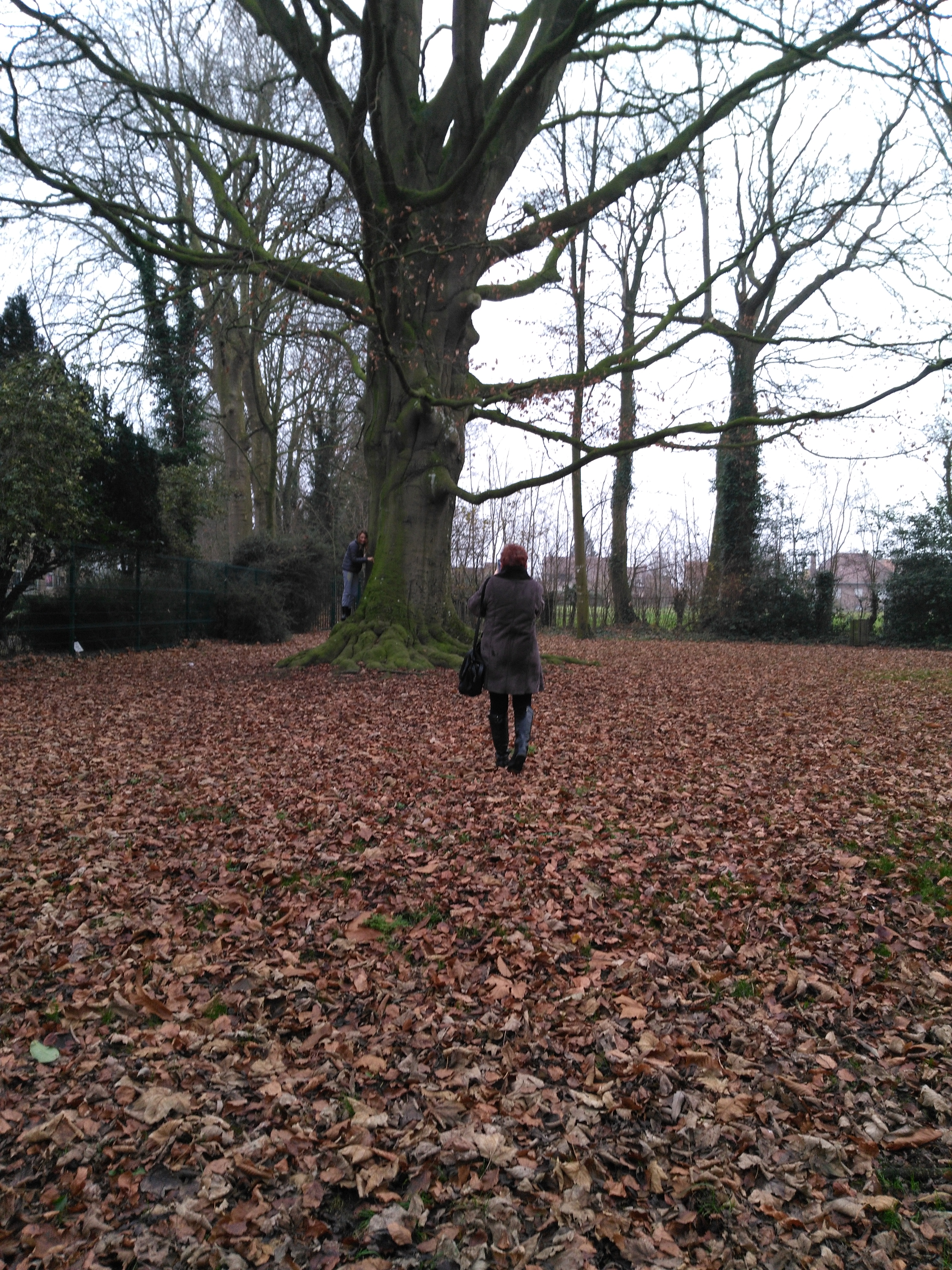 Photo n° 1 de l'avis de Karine.a fait le 24/01/2019 à 11:09