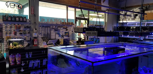 Tropical Fish Store «Shipwreck Cove Custom Aquariums», reviews and photos, 215 S El Camino Real, Encinitas, CA 92024, USA