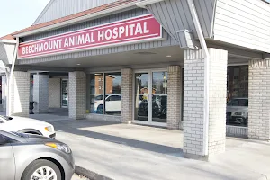Beechmount Animal Hospital image