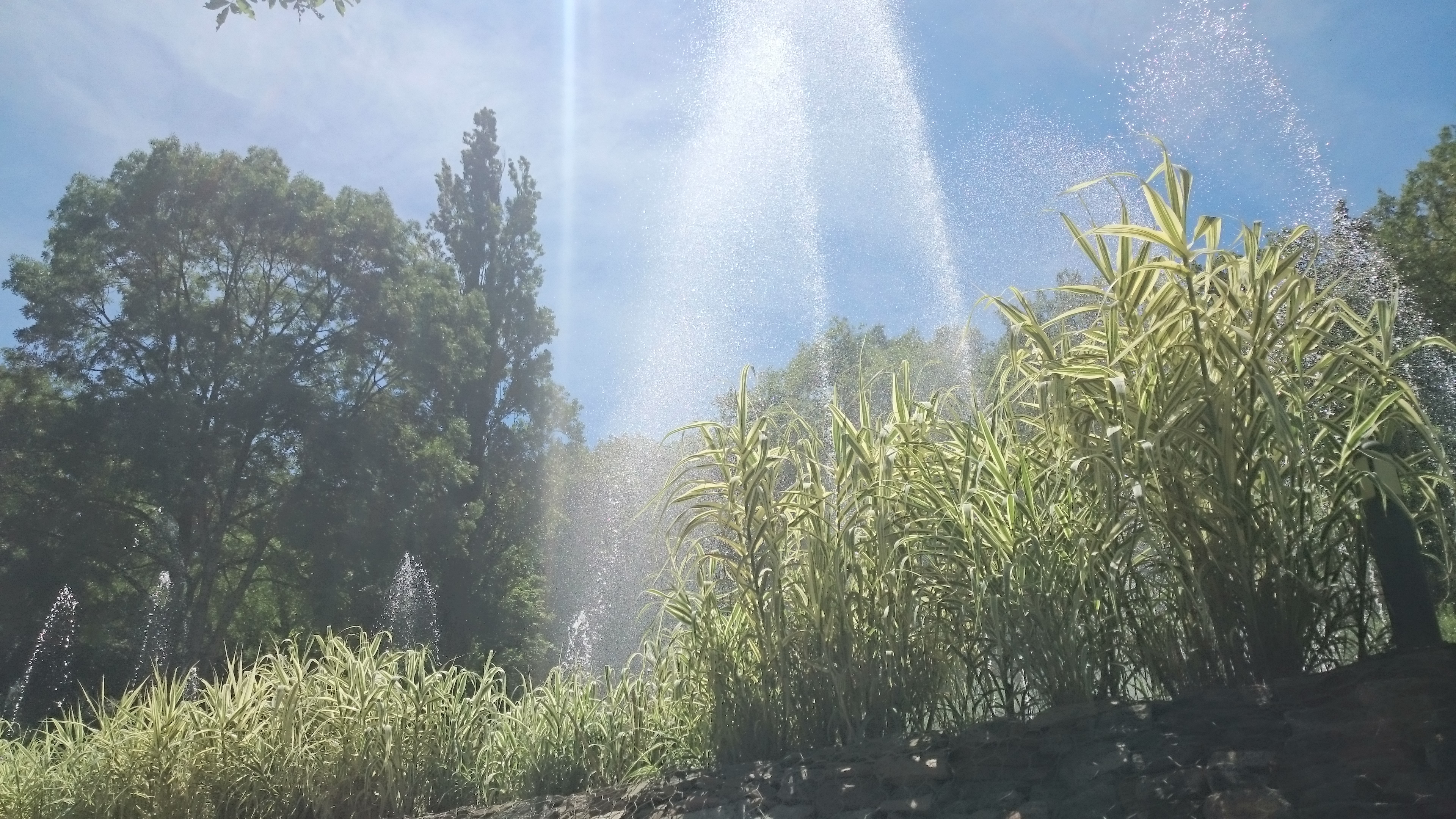 Photo n° 2 de l'avis de Julien.a fait le 02/08/2016 à 13:12