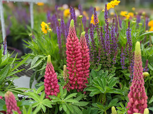 Home Improvement Store «The Home Depot», reviews and photos, 399-443 Springfield Ave, Newark, NJ 07103, USA