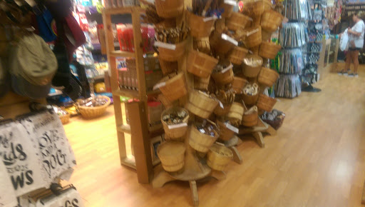 Pet Groomer «Animal House», reviews and photos, 705 Asbury Ave, Ocean City, NJ 08226, USA