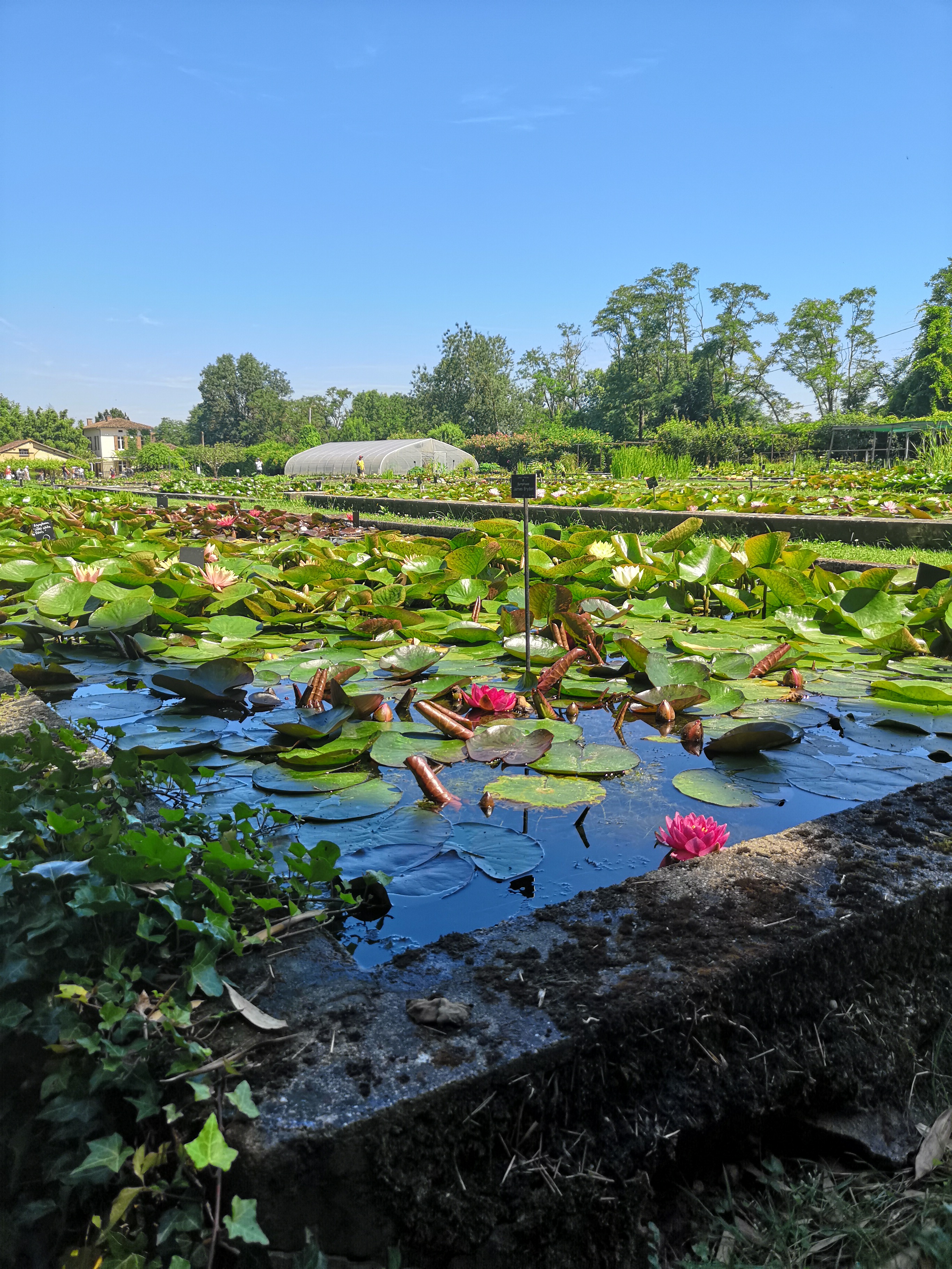 Photo n° 1 de l'avis de Sarah.. fait le 07/07/2018 à 13:25