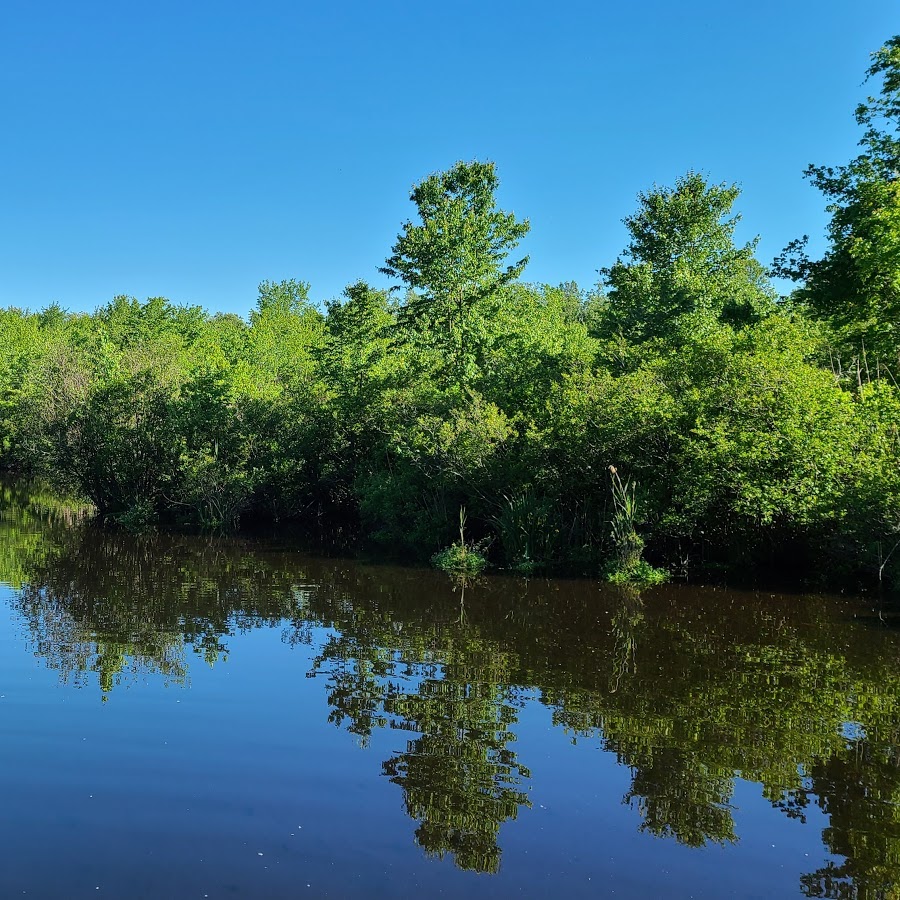 Shu Swamp Nature Preserve
