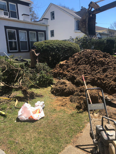 Heating Contractor «Thomas Curley Plumbing & Heating Co LLC», reviews and photos, 67 Steamboat Rd, Great Neck, NY 11024, USA