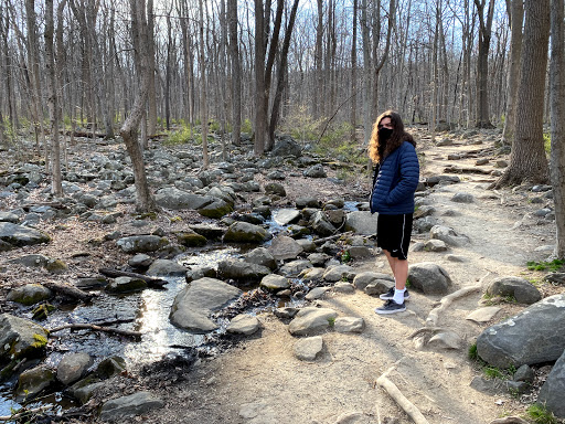 Nature Preserve «Sourland Mountain Preserve», reviews and photos, 421 E Mountain Rd, Hillsborough Township, NJ 08844, USA