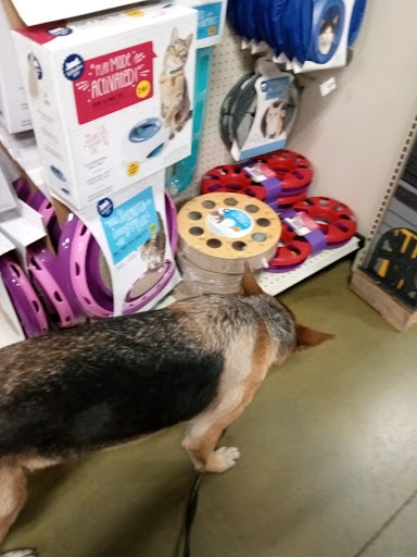 Pet Supply Store «PetSmart», reviews and photos, 262 Pooler Pkwy, Pooler, GA 31322, USA