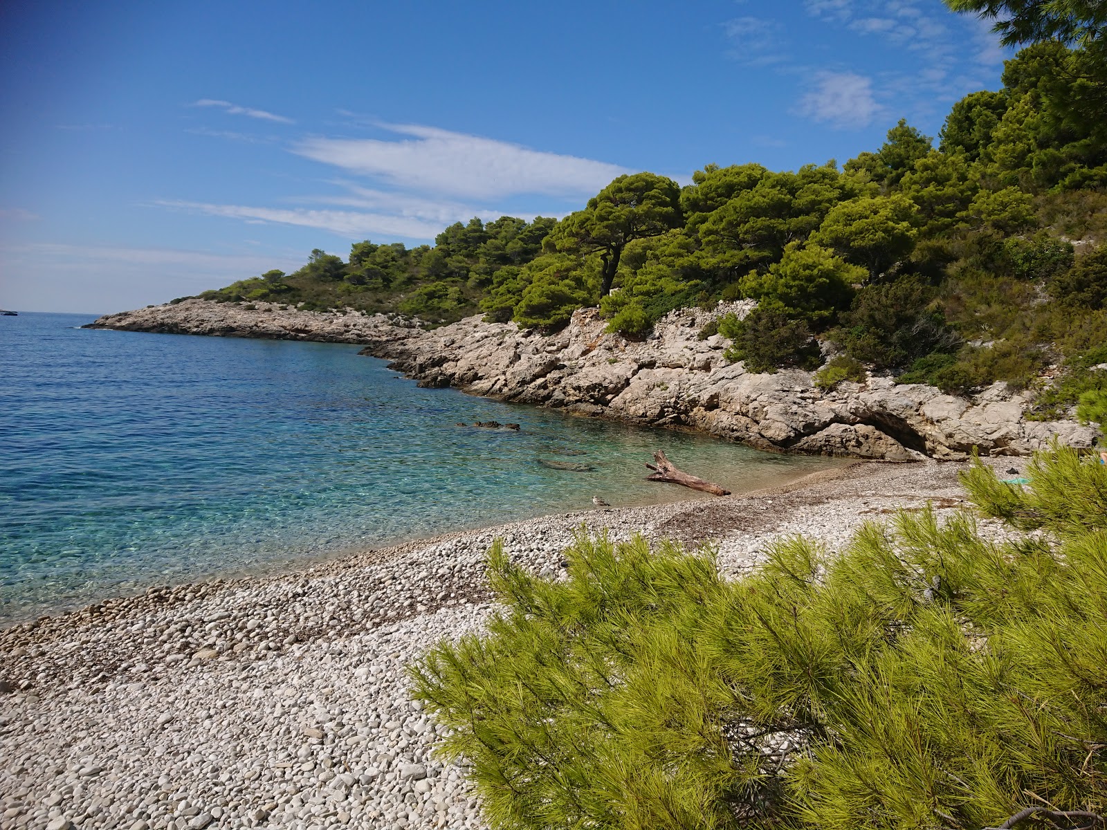 Foto de Barjoska beach con agua cristalina superficie