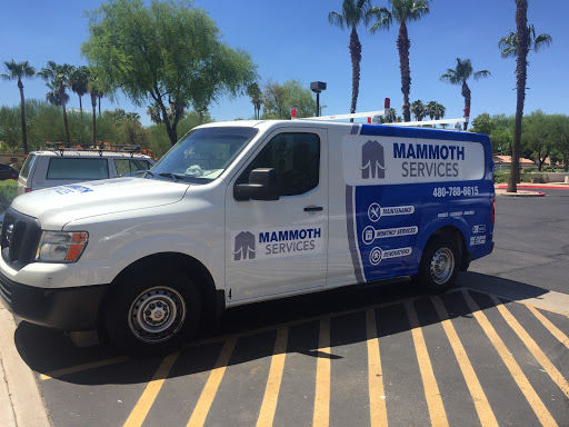 Mammoth Services
