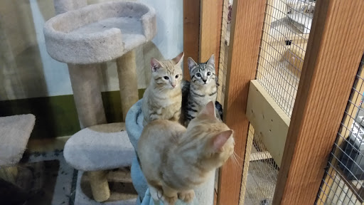 Pet Store «Next to Nature», reviews and photos, 4543 California Ave SW, Seattle, WA 98116, USA