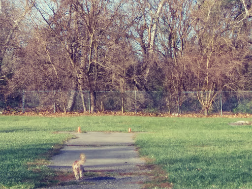 Park «Balduck Park», reviews and photos, 5271 Canyon St, Detroit, MI 48236, USA