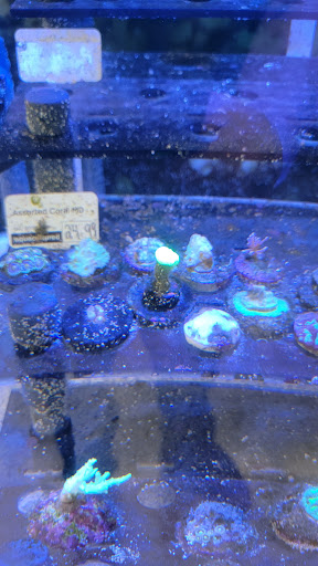 Pet Supply Store «Petco Animal Supplies», reviews and photos, 1049 S Willow St, Manchester, NH 03103, USA