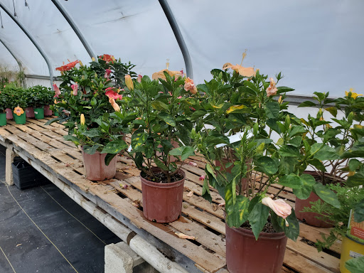 Garden Center «Beachside Gardens & Gifts», reviews and photos, 3725 US-12, Michigan City, IN 46360, USA