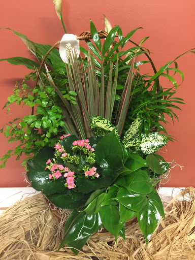 Florist «Valley Florist», reviews and photos, 301 Merrimack St, Methuen, MA 01844, USA