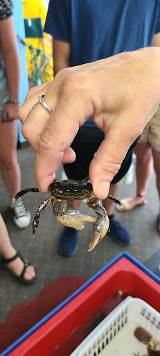 Aquarium «Explore the Ocean World, llc Oceanarium», reviews and photos, 367 Ocean Blvd, Hampton, NH 03842, USA