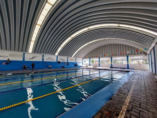 Competencia de natación Cuautitlán Izcalli