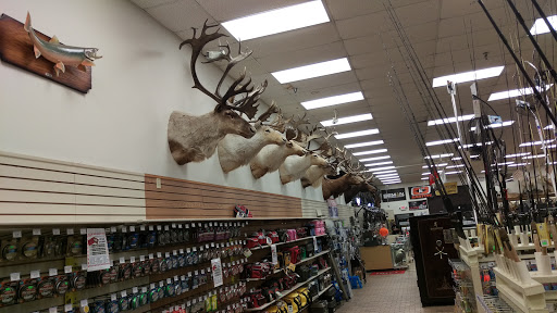 Sporting Goods Store «Kames Sports», reviews and photos, 8516 Cleveland Ave NW, North Canton, OH 44720, USA