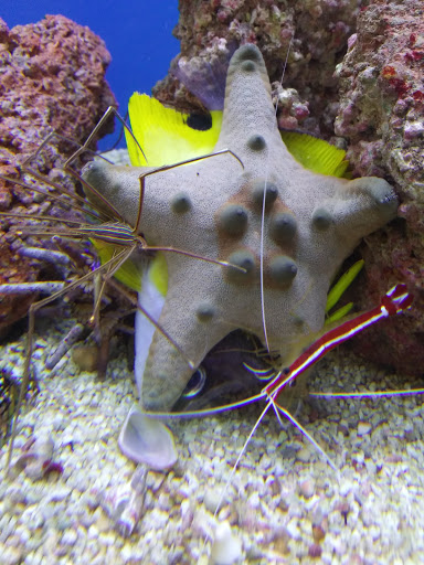 Pet Supply Store «Petco Animal Supplies», reviews and photos, 1933 South Rd, Poughkeepsie, NY 12601, USA