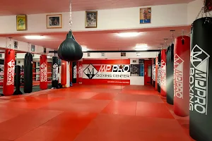 MPPRO Boxing Center image
