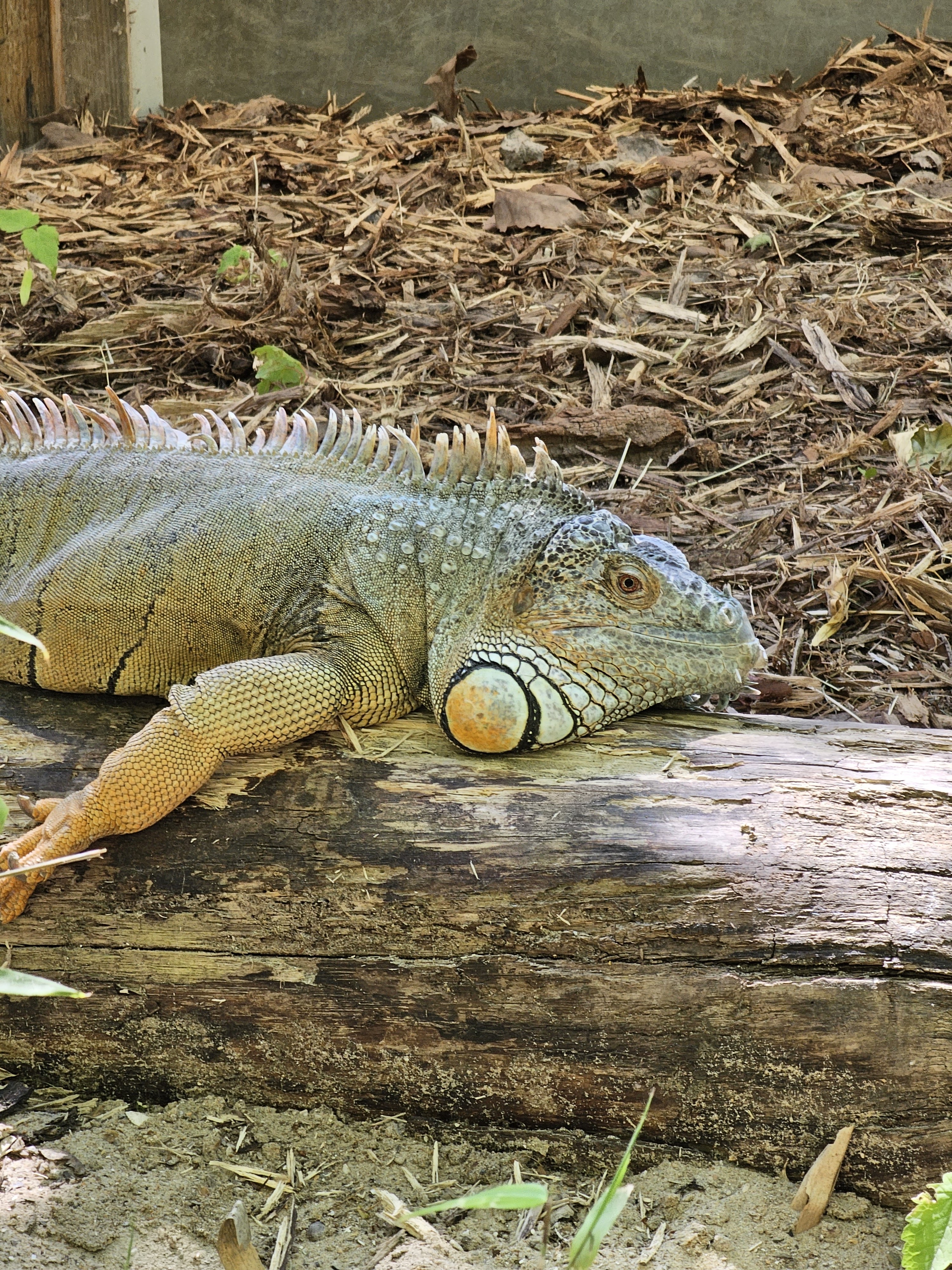 Photo n° 10 de l'avis de Envy.e fait le 03/06/2023 à 13:47