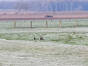 Photo n°22 de friterie point du jour à Azannes-et-Soumazannes ()