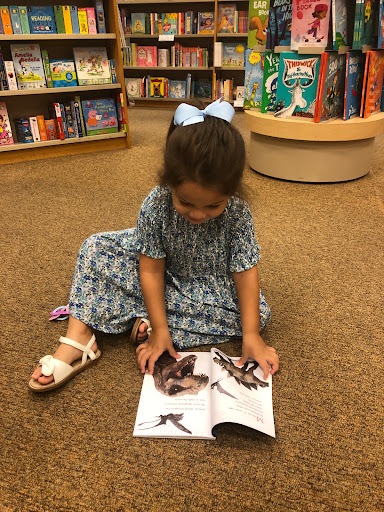 Book Store «Barnes & Noble», reviews and photos, 13751 S Tamiami Trail, Fort Myers, FL 33912, USA