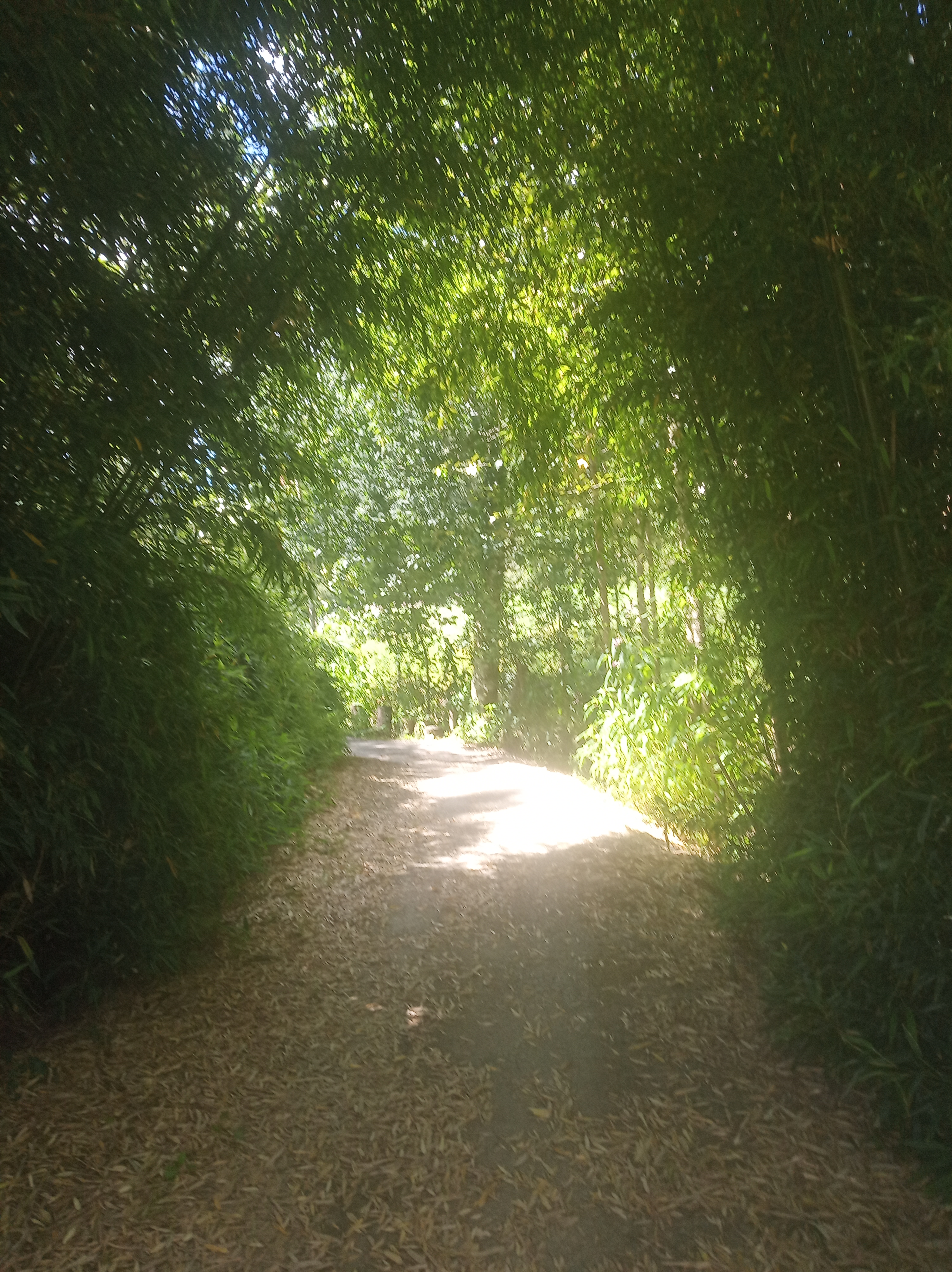 Photo n° 24 de l'avis de Lily. fait le 20/07/2020 à 15:39