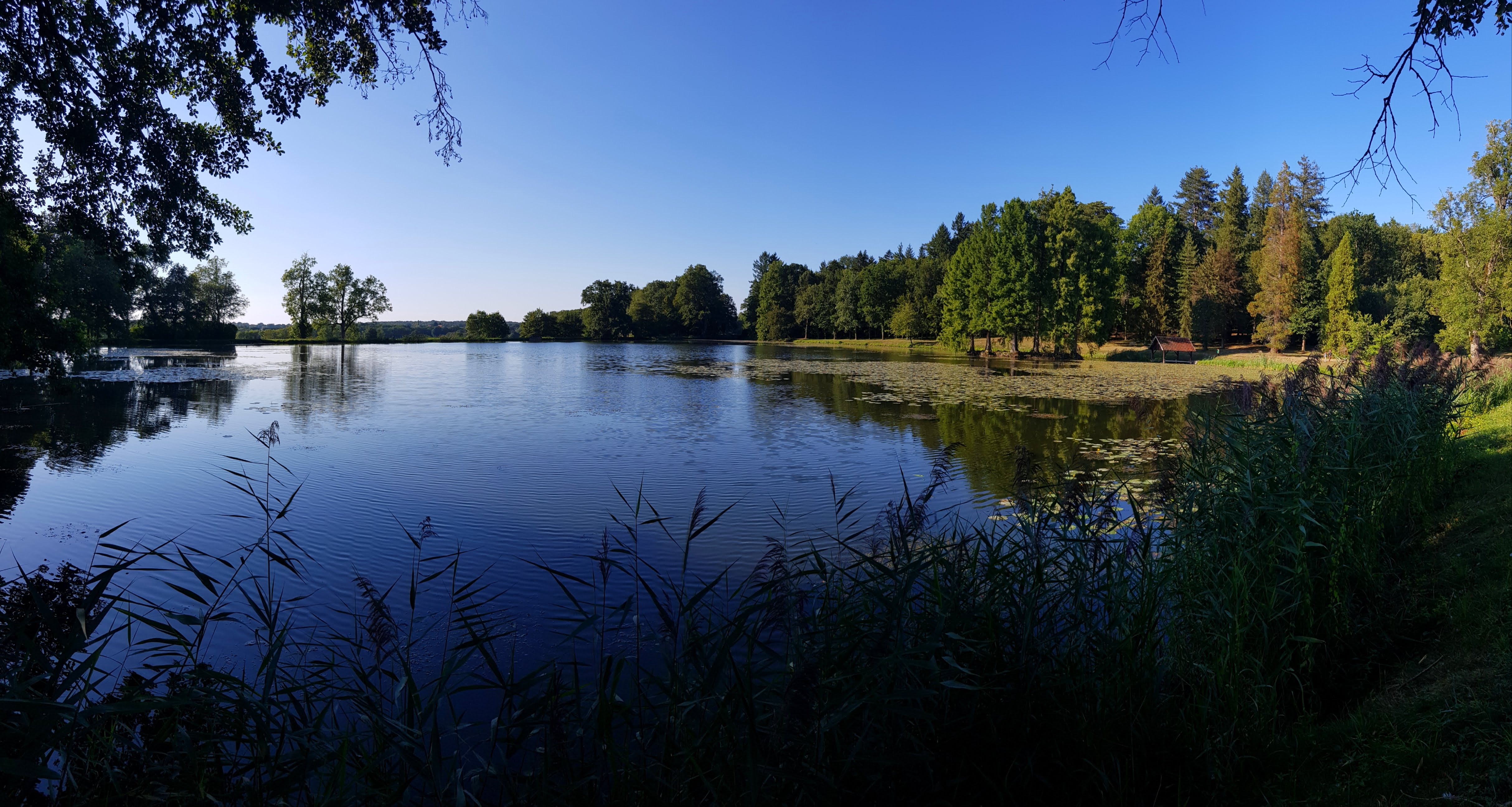 Photo n° 1 de l'avis de Lionel.L fait le 29/08/2019 à 11:24