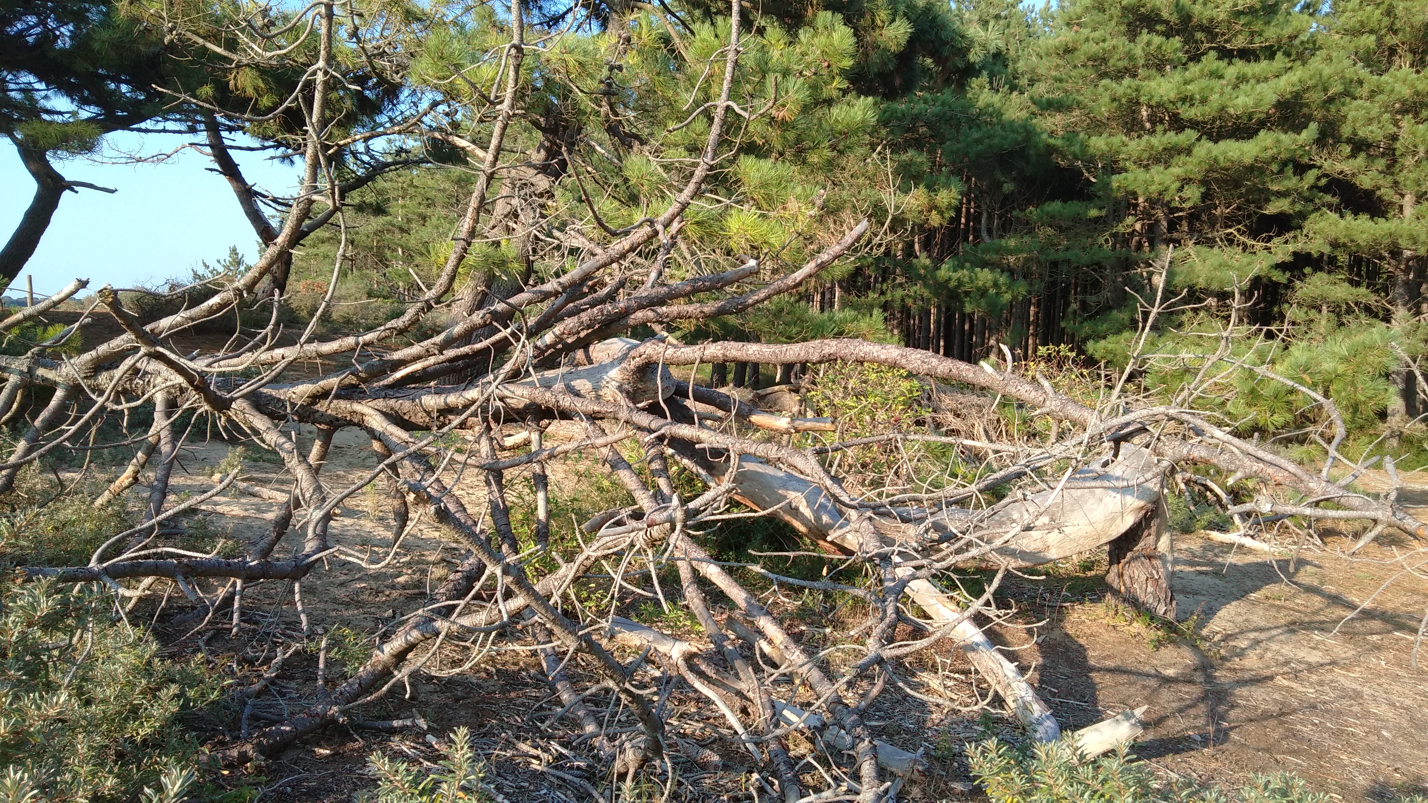 Photo n° 6 de l'avis de Ray.a fait le 08/09/2018 à 19:20