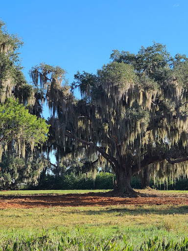 Sightseeing Tour Agency «Wild Willys Airboat Tours», reviews and photos, 4715 Kissimmee Park Rd, St Cloud, FL 34772, USA