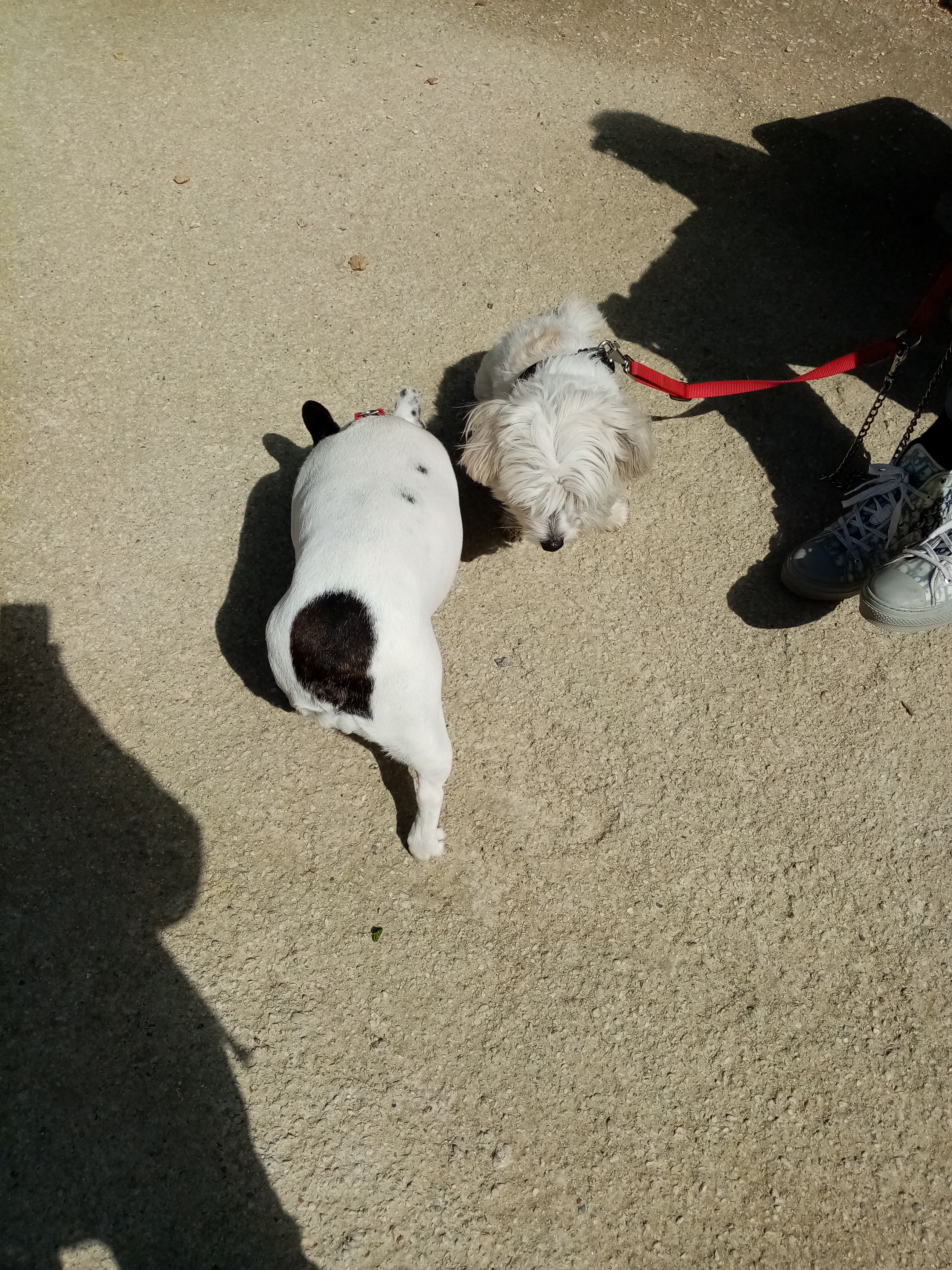 Photo n° 9 de l'avis de Sylvie.a fait le 21/06/2022 à 05:15