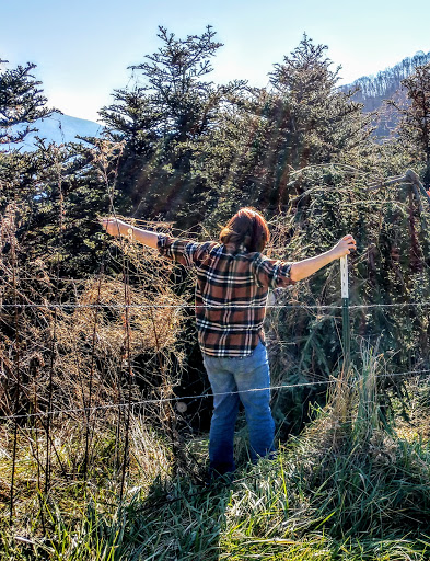 Art Museum «Museum of North Carolina Handicrafts», reviews and photos, 49 Shelton St, Waynesville, NC 28786, USA