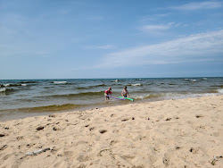Zdjęcie Ludington State Park Beach z poziomem czystości wysoki