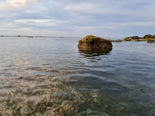 Top 20 cửa hàng akemi Huyện Lý Sơn Quảng Ngãi 2022