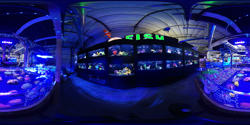 Tropical Fish Store «Elite Reef», reviews and photos, 8410 Wadsworth Blvd F, Arvada, CO 80003, USA