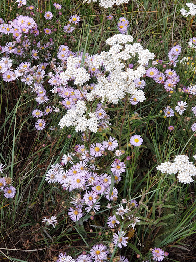 Grocery Store «Twin Lakes General Store», reviews and photos, 6451 CO-82, Twin Lakes, CO 81251, USA
