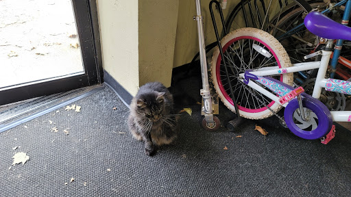 Bicycle Store «Classic Cycle», reviews and photos, 812 Molalla Ave, Oregon City, OR 97045, USA