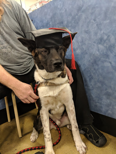 Pet Supply Store «PetSmart», reviews and photos, 11132 Abercorn St, Savannah, GA 31419, USA