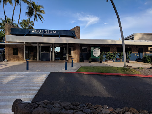 Waikiki Marine Life Conservation District