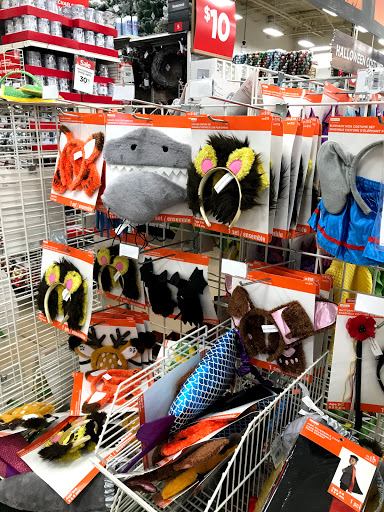 Craft Store «Michaels», reviews and photos, 630 US-441, Lady Lake, FL 32159, USA