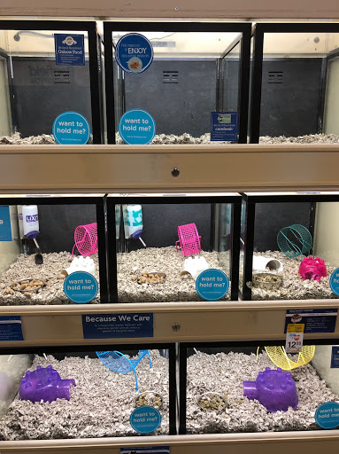 Pet Supply Store «PetSmart», reviews and photos, 6060 Long Prairie Rd, Flower Mound, TX 75028, USA