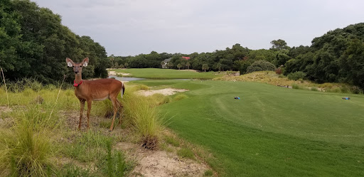 Country Club «Bald Head Island Club», reviews and photos, Salt Meadow Trail, Southport, NC 28461, USA