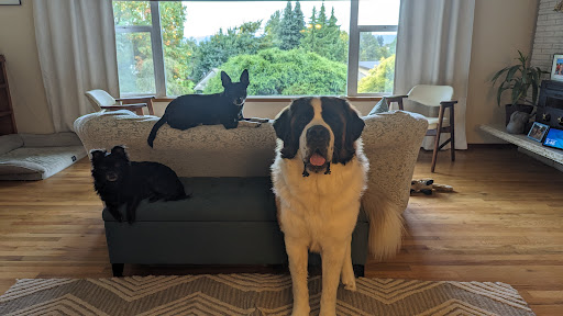 Barking Buddha Pet Products