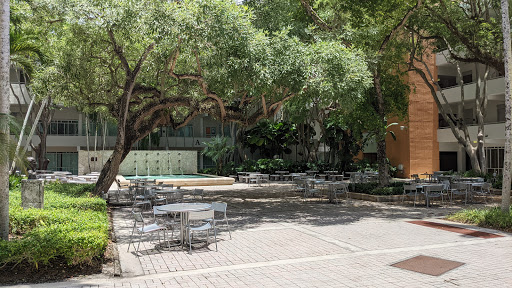 Book Store «University of Miami Bookstore», reviews and photos, 1306 Stanford Dr, Coral Gables, FL 33146, USA