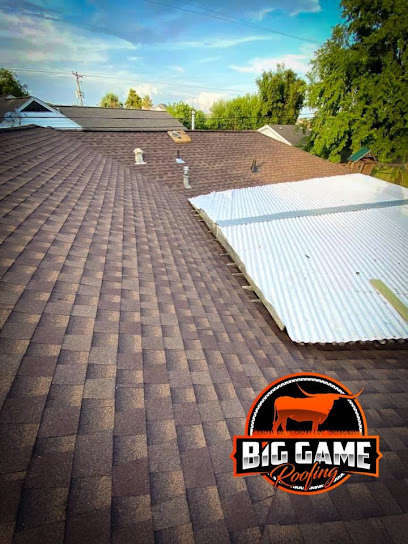 Big Game Roofing