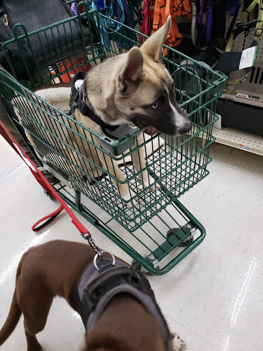 Pet Supply Store «Pet Supplies Plus», reviews and photos, 1856 Hendersonville Rd a, Asheville, NC 28803, USA